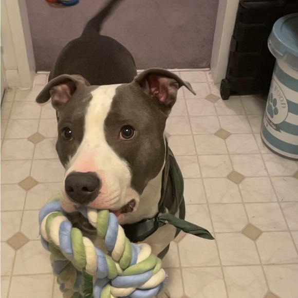 Meet your Posher, Kourtney - Picture 14 of 16